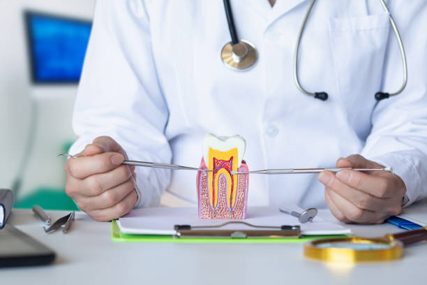 Best Urgent Tooth Repair  in Thornport, OH
